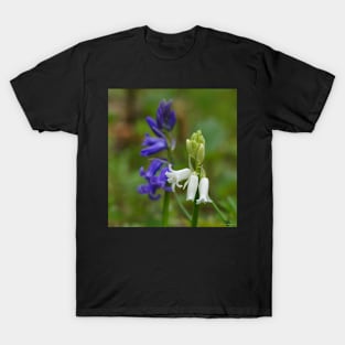 blue and white bell's flowers T-Shirt